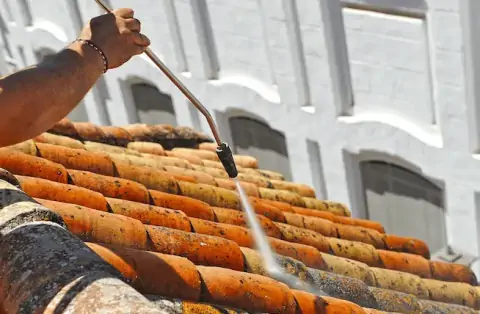 Nettoyage de toitures - Essonne